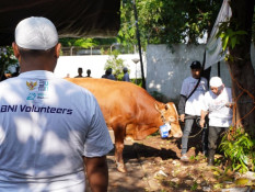 BNI Distribusikan 1.200 Hewan Kurban ke Berbagai Daerah Indonesia