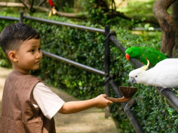 Pemkot Bandung Targetkan Lelang Ulang Kebun Binatang Rampung Pekan Ini