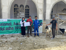 EMP Group Salurkan Hewan Kurban dari Aceh hingga Sulawesi