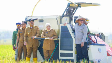 Produksi Padi Jatim Berpotensi Sentuh 7,71 Juta Ton, Gubernur Khofifah Ungkap Strategi Pertumbuhan
