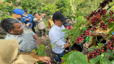 PTBA Dukung Pengembangan Komoditas Kopi 18 Hektare di Sawahlunto