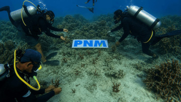 Upaya PNM Hadirkan Masa Depan Anak-Anak Lewat Pelestarian Laut