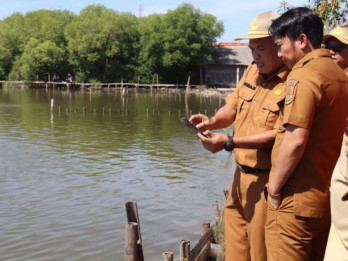 Giant Sea Wall Masih Wacana, Warga Pesisir Cirebon Sudah Kehilangan Rumah
