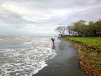 Muara Gembong, dari 