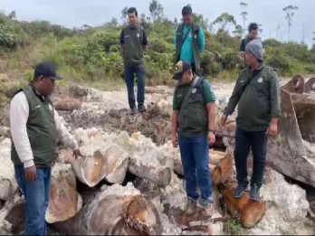 Kemenhut Dalami Dugaan Pelanggaran di Balik Temuan Tumpukan Kayu Bulat di Sumut