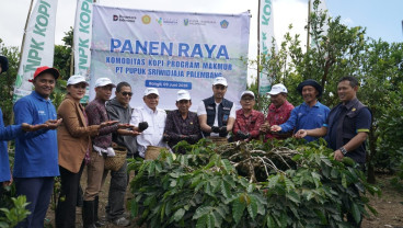 Pusri dan Kementan Perkuat Daya Saing Kopi Arabika Kintamani