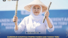 Gubernur Khofifah Targetkan Replanting Tebu Capai 54.897 Hektar di 2026