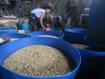 Pengamat Nilai Subsidi Kedelai Tak Cukup Atasi Tekanan Produsen Tahu-Tempe