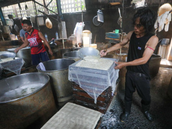 Pemerintah Luncurkan Subsidi Kedelai Rp2.000 per Kg, Kuota Awal 250.000 Ton
