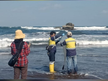 8.100 Ton Batu Bara Tumpah, DKP Jabar Uji Kualitas Air di Perairan Pangandaran