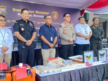 Polda Jatim Bongkar Penyelundupan Gading Gajah, Kupu-Kupu Dilindungi, dan Benih Lobster