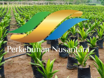 Holding Perkebunan PTPN III Cetak Laba Bersih Rp6,39 Triliun pada 2025