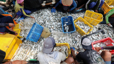 Ambisi Menggebu Swasembada Protein di Tengah Tantangan Sektor Perikanan