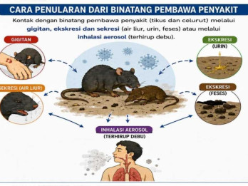 WHO Nyatakan Wabah Hantavirus di Kapal Pesiar Berakhir