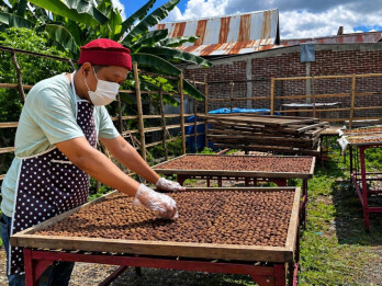 Terasi Udang Asal Selayar Tembus Ritel Modern, Omzet Capai Rp70 Juta