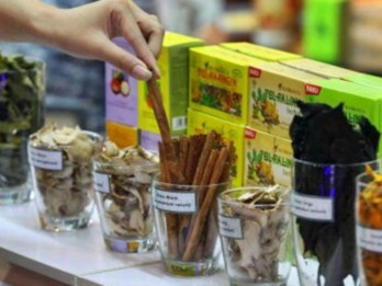 Geliat Taipan di Emiten Kesehatan