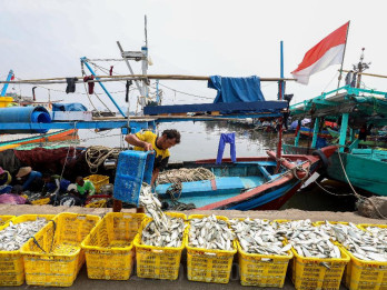 Ekspor Langsung Udang Windu Kaltim Tembus Rp173 Miliar per Bulan