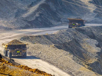 Beda Arah Direksi Amman Mineral dan Grup Salim di Saham AMMN