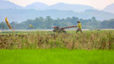 BPS: Nilai Tukar Petani (NTP) Kaltim Anjlok pada Juni 2026