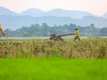 BPS: Nilai Tukar Petani (NTP) Kaltim Anjlok pada Juni 2026