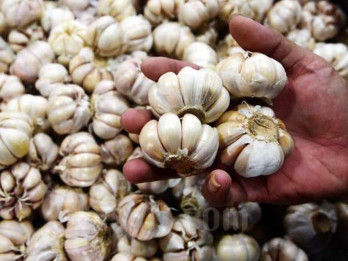 BPS: China Kuasai 98% Pasokan Impor Bawang Putih di Indonesia