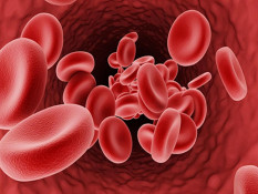 Pakar: Industri Plasma Darah Wajib Terapkan Biosafety dari Hulu ke Hilir