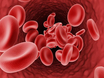 Pakar: Industri Plasma Darah Wajib Terapkan Biosafety dari Hulu ke Hilir