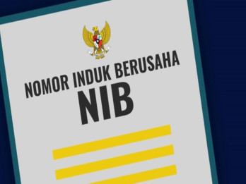 Pemerintah Beri Masa Transisi hingga 18 Bulan bagi Pedagang Online Penuhi Kewajiban NIB