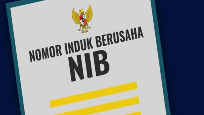 Pemerintah Beri Masa Transisi hingga 18 Bulan bagi Pedagang Online Penuhi Kewajiban NIB