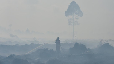 Daftar Zona Merah Karhutla Sumsel Bertambah