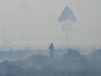 Daftar Zona Merah Karhutla Sumsel Bertambah