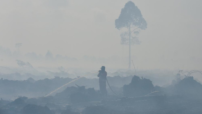 Daftar Zona Merah Karhutla Sumsel Bertambah