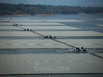 IESR Ungkap Potensi PLTS Terapung Indonesia Capai 77,8 GW