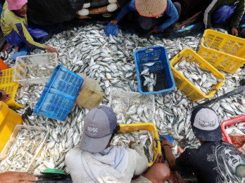 Harga Solar Cekik Nelayan, Inflasi Ikan Segar Membayangi Semester II/2026