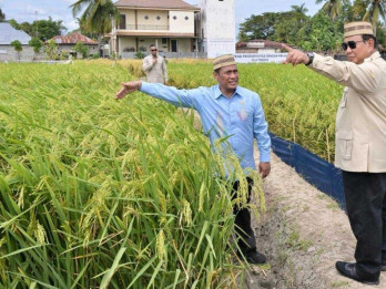 Prabowo Bakal Luncurkan Motor Listrik Nasional, Petani Diprioritaskan