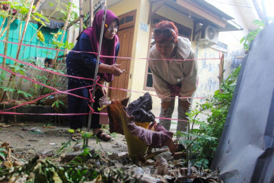 Bunga Suweg Langka Mekar di Pekarangan Warga Bekasi