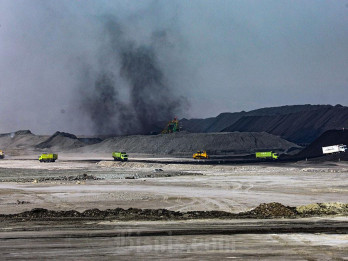 PTBA Ubah Komite Audit, Laporan Keuangan Semester I/2026 Bakal Limited Review