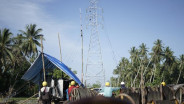 PLN Percepat Proyek SUTT 150 kV Palu 3-Tambu, Target Operasional Akhir 2026