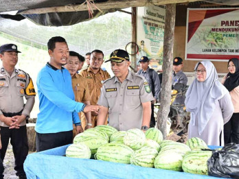 Agrowisata Semangka Bengkalis Ajak Generasi Muda Aktif di Pertanian