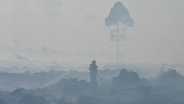 Alert, Kalimantan Selatan Dilanda 157 Kebakaran Hutan