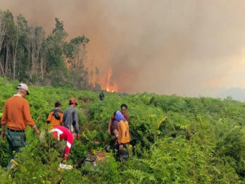 Jabar Pasang Alarm Karhutla, Warga Diminta Tinggalkan Kebiasaan Membakar Lahan