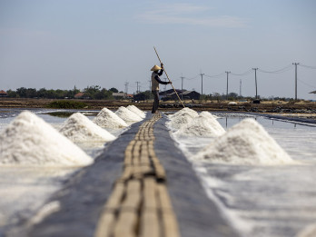 KKP Targetkan Produksi 400 Ribu Ton Garam Industri per Tahun