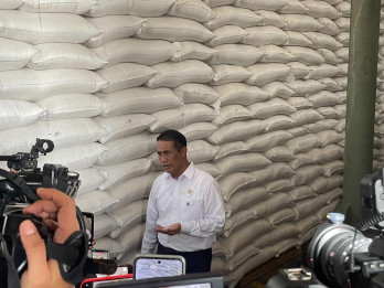 Amran Blak-blakan Kondisi Stok Beras RI di Tengah Ancaman El Nino