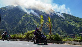 Penanganan kebakaran hutan di jalur menuju kawasan wisata Bromo