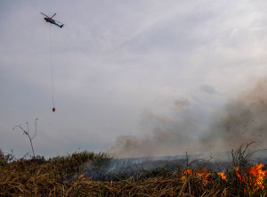 Helikopter BNPB Bantu Padamkan Kebakaran Lahan di Ogan Ilir