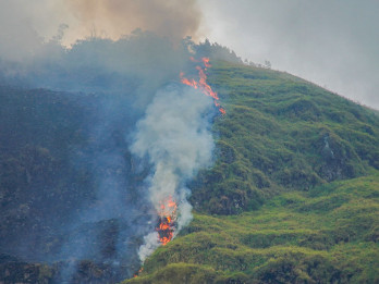 Kebakaran Hutan di Probolinggo Hanguskan Empat Hektare, Tim Gabungan Cegah Api Meluas