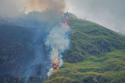Kebakaran Hutan di Probolinggo Hanguskan Empat Hektare, Tim Gabungan Cegah Api Meluas