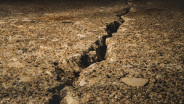 Gempa Magnitudo 2,4 Guncang Bogor