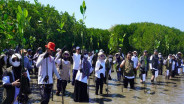 Komitmen ESG, Kalla Tanam 31.000 Bibit Mangrove di Kawasan Konservasi Pangkep
