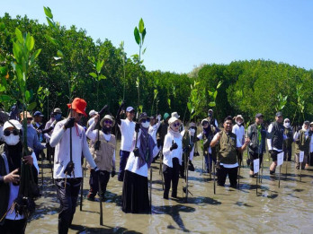 Komitmen ESG, Kalla Tanam 31.000 Bibit Mangrove di Kawasan Konservasi Pangkep